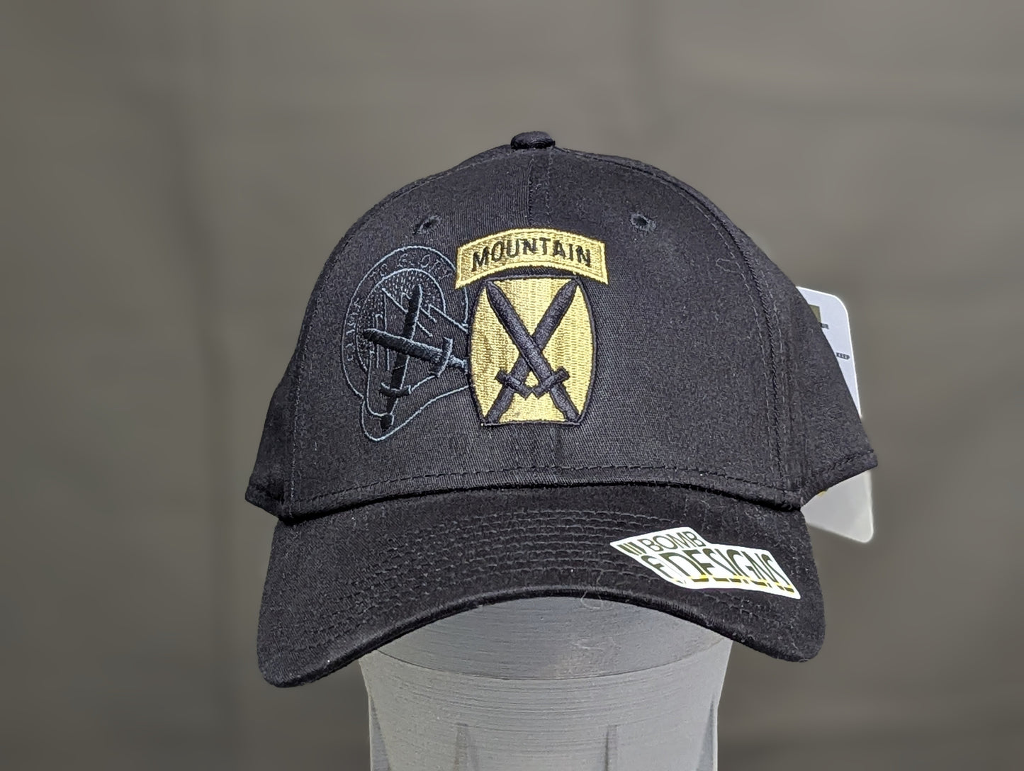 10th Mountain Climb to Glory Hat | Fitted/Adj | US Army