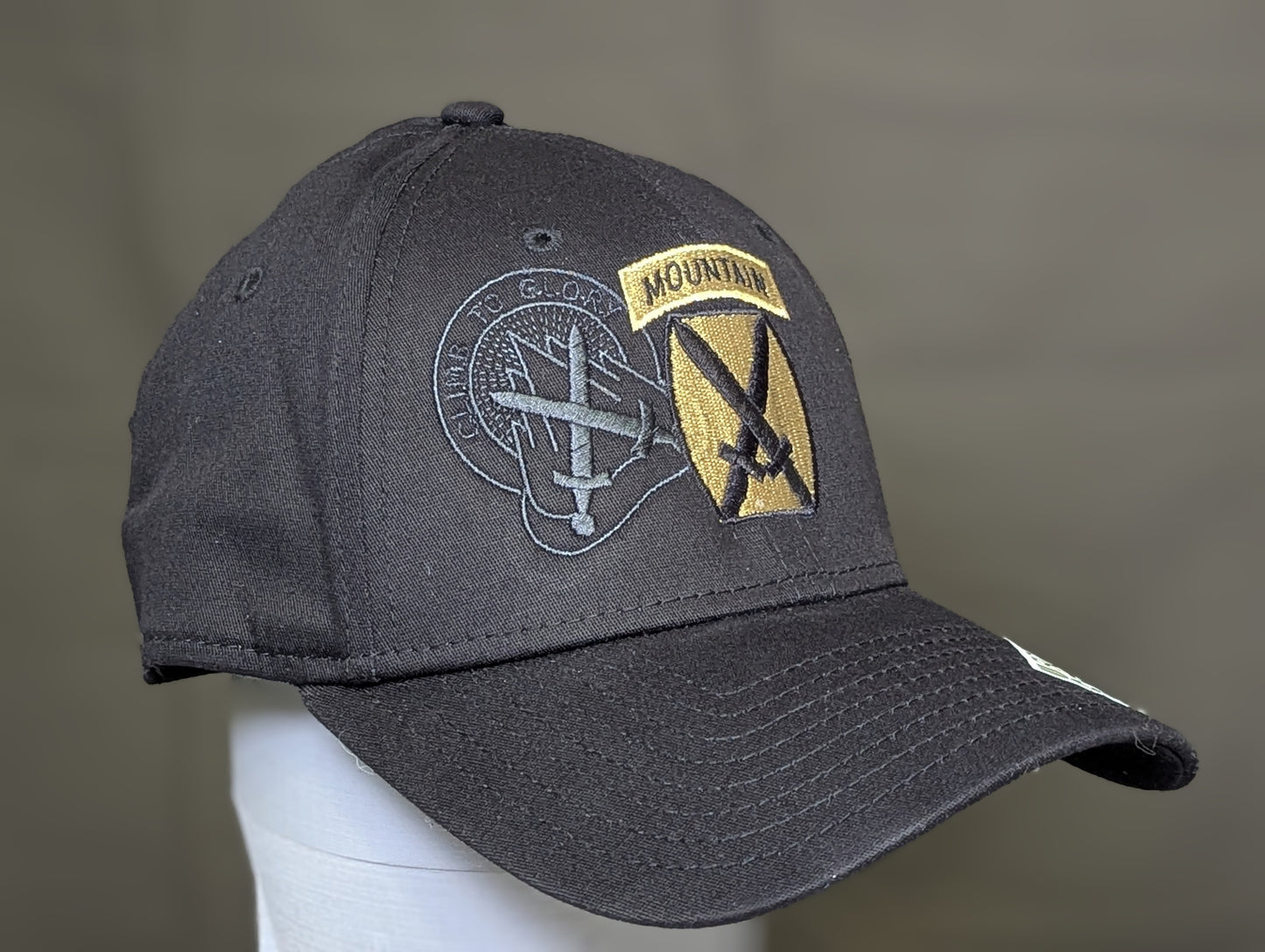 10th Mountain Climb to Glory Hat | Fitted/Adj | US Army