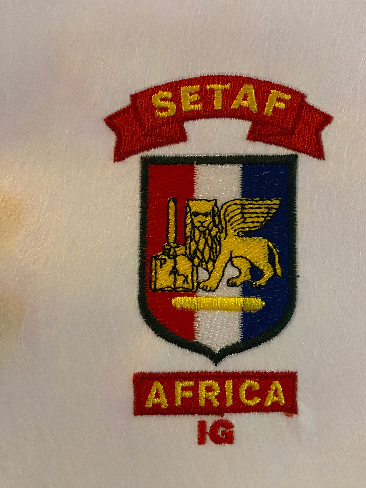 SETAF-AF Crest Embroidered Woobie Pullover Hoodie