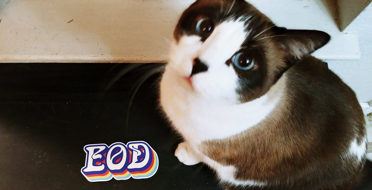 Groovy Retro EOD Sticker