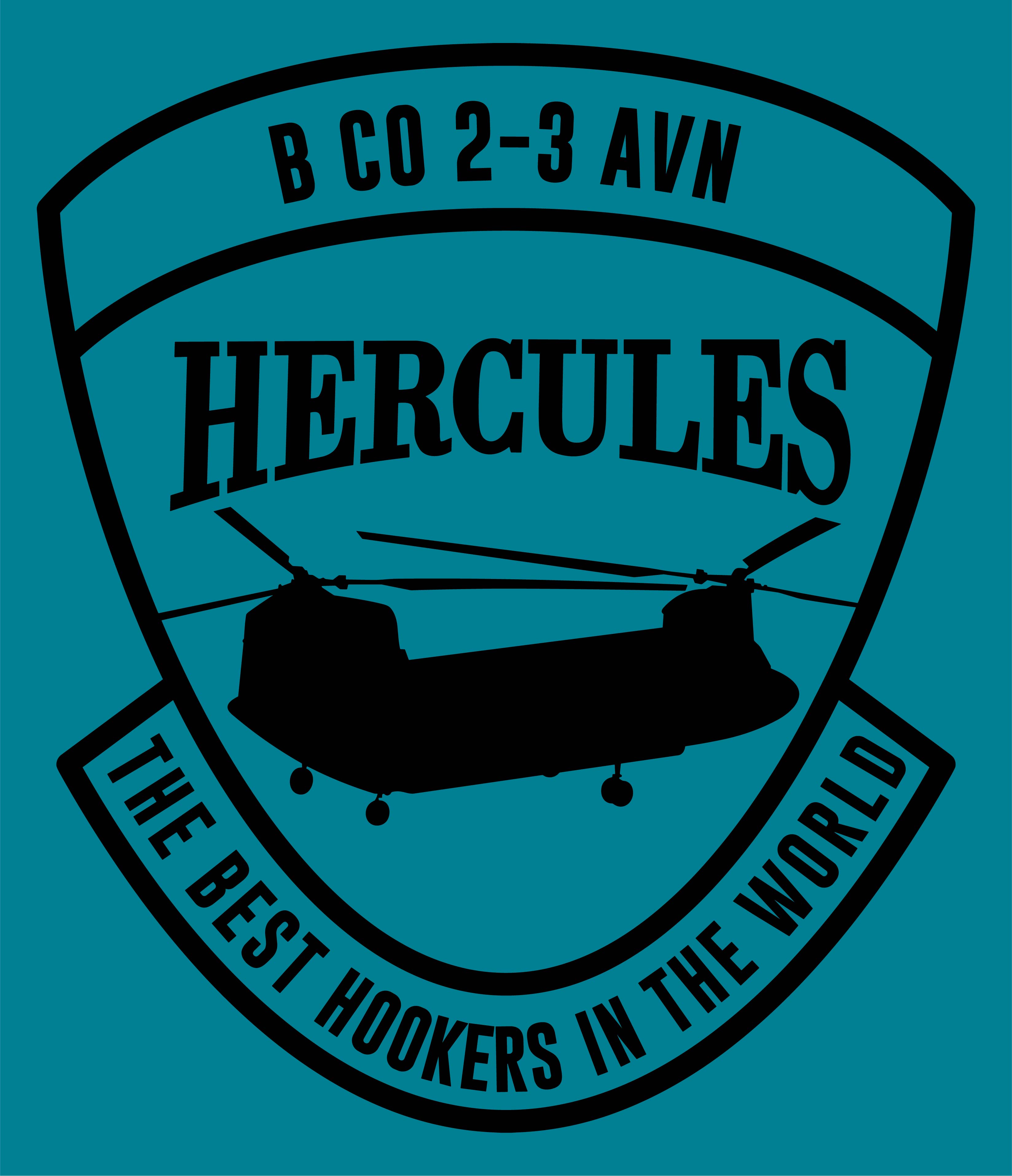 B Co 2-3 AVN “Hercules” Carhartt Hooded Sweatshirt | One-Color Design ...